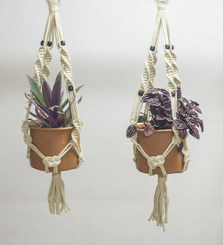 Macrame Hanger (Incl.pot)