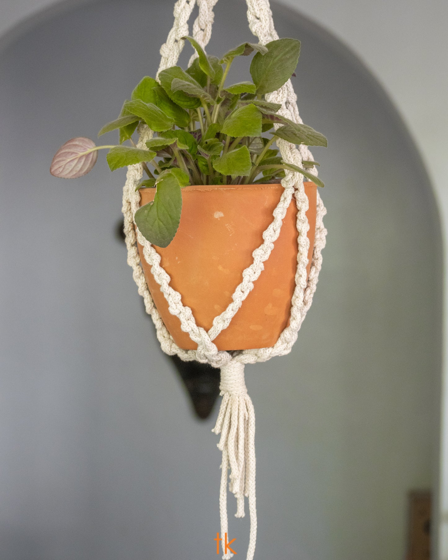 Macrame Hanger (Incl.pot)