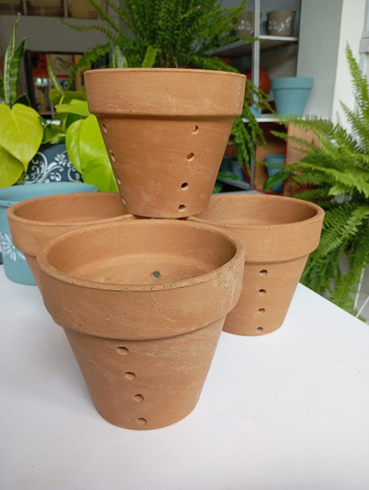 Orchid Pots