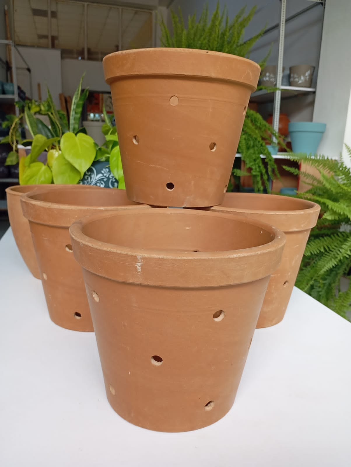 Orchid Pots